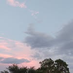 Deb Hines - @cookeedee61 - Instagram