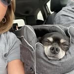 Deb Hines - @johndebhines - Instagram