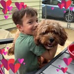 Deb Hines Eckers - @dhineseckers - Instagram