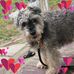 Debi Hines - Facebook