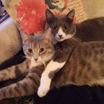 Deb Hinton Pavek - @hintonpavek - Instagram