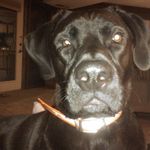 Deb Nance Hinton - @hinton7828 - Instagram