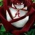 Debra Hinton - @debra.hinton.988 - Instagram