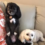 Deb holt willis - @lucytiki2 - Instagram