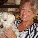 Deb  Horwath - @horwathdeb - Instagram
