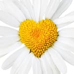 Deb Houghting - @houghtingdeb - Instagram