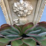 Deb Houghton - @deb.houghton.524 - Instagram
