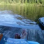 Debra Hough - @debhough - Instagram