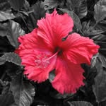 Deb House - @housedeb - Instagram