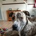 Debra House - Facebook