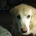 Deb Howell - Facebook