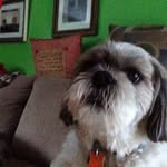 Deb Howell - @howell.deb - Instagram