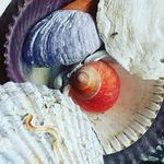 Deb Howlett - @todaysofficewales - Instagram