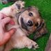 Deb Huffman - Facebook