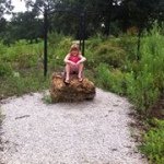 Debbie Huggins - @debhuggins - Instagram