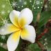 Deb Humphrey - Facebook