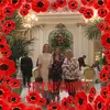 Deb Humphreys - @debhumphreys - TikTok