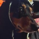 Debbie Stagg Hurlburt - @debbiestagghurlburt - Instagram