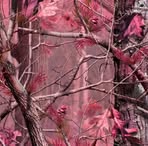 Deb Huss - Facebook