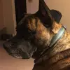 debhuss - @deb.huss2 - TikTok
