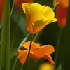 debihuss - @debihuss - TikTok