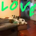 Debbie Huston - @debhuston245 - Instagram
