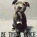Debbi Huth - Facebook
