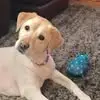Debbie Huth - @debbie.huth - TikTok