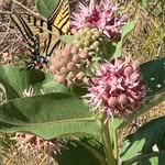 Deb Wanzer - @debhuttonwanzer - Instagram