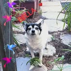 Deb Hyatt - Facebook