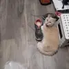 debrahyatt835 - @debrahyatt835 - TikTok