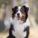 Deb Hyde - @deb.hyde.9 - Instagram