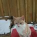 Deborah Hyde - Facebook