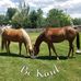 Deb Ingram - Facebook
