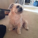 Deb Ingram - @ingramdebra749 - Instagram