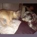 Debbie Ingram - Facebook