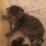 Debbie Ingram - @dmcingram - Instagram
