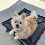 Deb Inman Scott - @dascott52 - Instagram