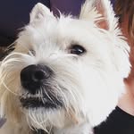 Deb Ireland - @i._deb - Instagram