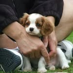 Debra Ireland - @debra.ireland.9 - Instagram