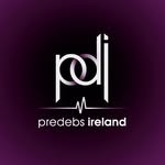 PDI - @predebs_ireland - Instagram