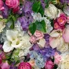 Deb Ireton - @deb.ireton - TikTok