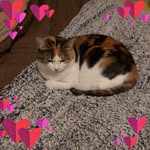Deb Irvin - @debirvin209 - Instagram