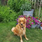 Deb Irvin - Facebook