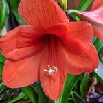Deb Jacobs - @deb.jacobs - Instagram
