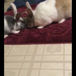Deb Jacobs - @dj1958s - Instagram