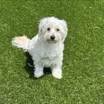 Deb Jacobs - @proudmimi6 - Instagram