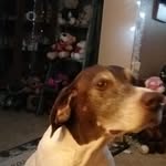 Deb Jacobs - @djacobs858 - Instagram