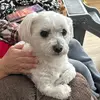 Deb Jaeger - @deb.jaeger - TikTok