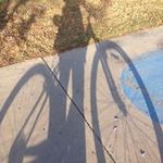 Deb Kay - @deb_manes_jaeger - Instagram